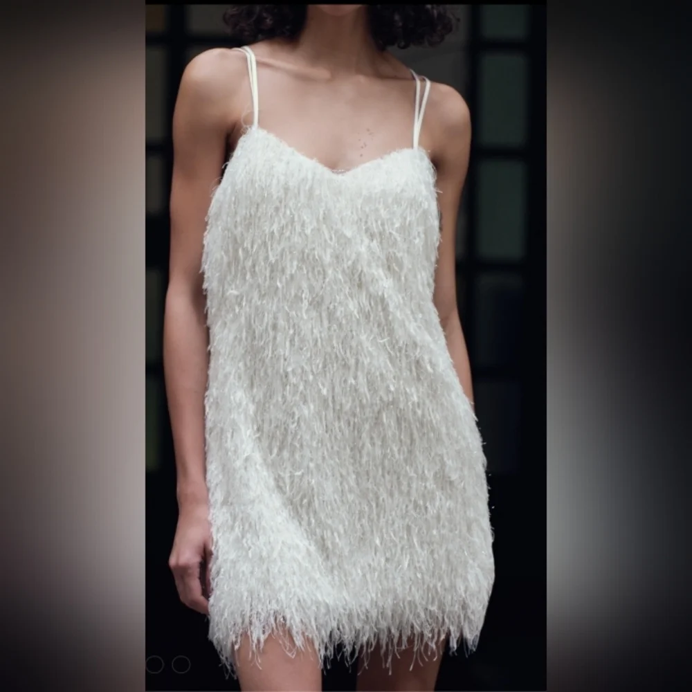 Zara Fringed Mini Dress With Metallic Threads - Picture 2 of 5